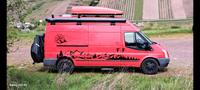 Ford Transit Tourneo, auch für Hundefreunde. Nordrhein-Westfalen - Fröndenberg (Ruhr) Vorschau