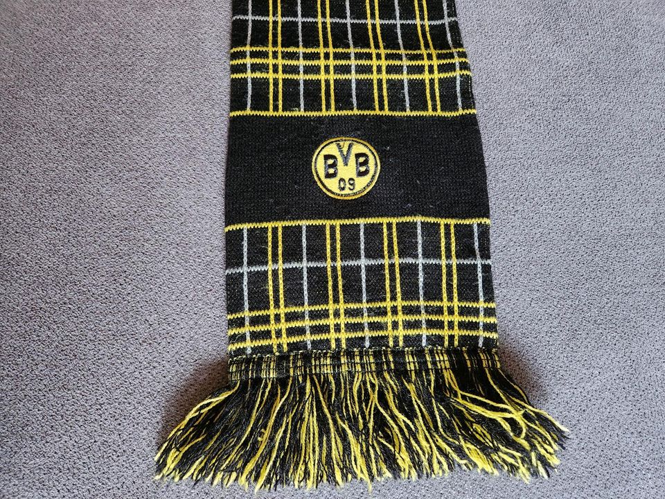 BVB Dortmund Schal in Herne