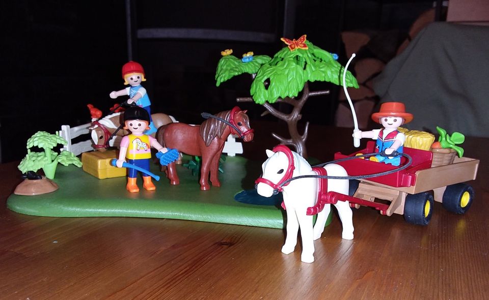 Playmobil - Sets "rund ums Pferd" in Glattbach Unterfr.