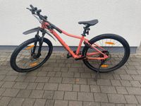 Scott Bike Niedersachsen - Lohne (Oldenburg) Vorschau