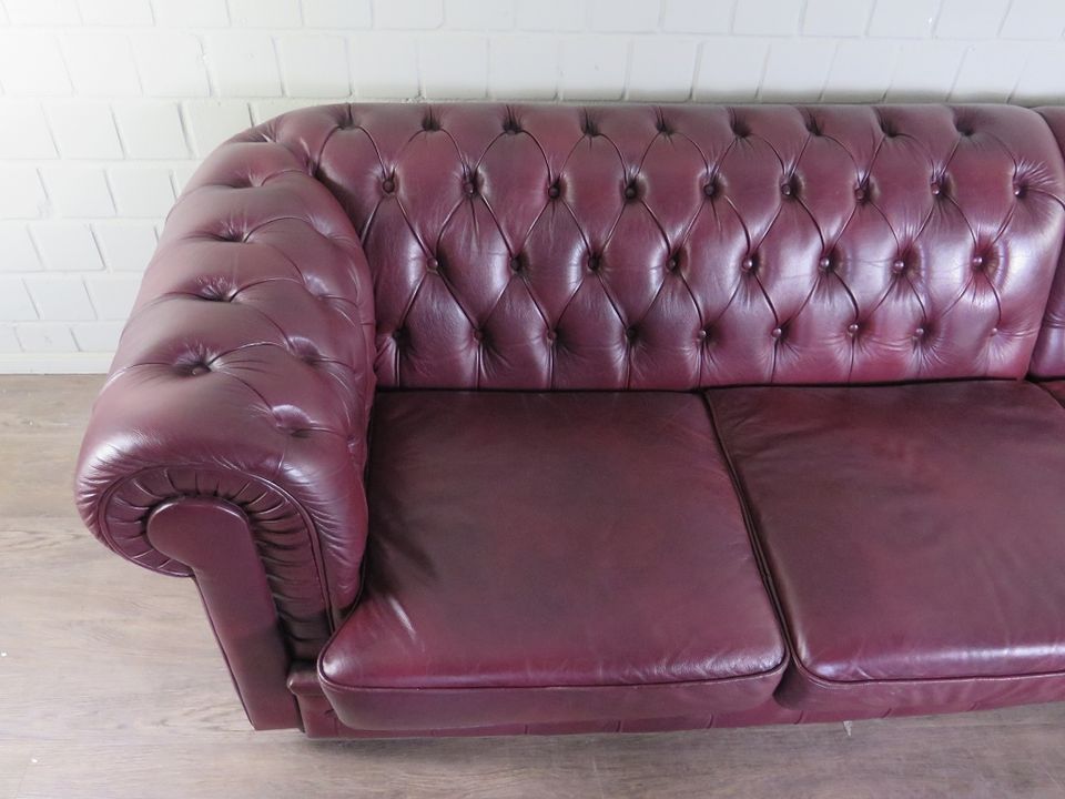 21955 Chesterfield Sofa Couch Leder Pflaume 2.90 m in Nordhorn