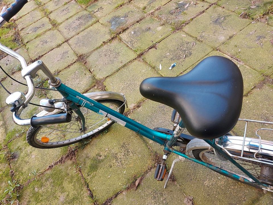 Paloma Damenfahrrad  26er Fahrrad 3-Gang in Seifhennersdorf