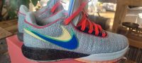 Nike, Schuhe Lebron XX DJ5423 002 Light Silver/Hyper Royal Bayern - Ingolstadt Vorschau