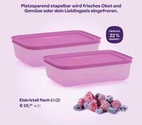 Tupperware, Eiskristall flach 1 l im 2er Set, lila, NEU Bayern - Dillingen (Donau) Vorschau