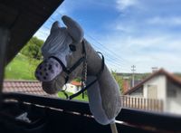 Hobby Horse mit viel Zubehör Baden-Württemberg - Tauberbischofsheim Vorschau