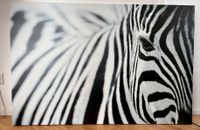 Wandbild Zebra (IKEA) Rheinland-Pfalz - Sinzig Vorschau