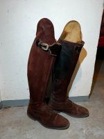 Dressurstiefel DeNiro De Niro 38,5/47/36 Vahr - Neue Vahr Nord Vorschau