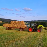 Anhänger Plattformwagen Platte Tieflader Ballenwagen DDR Brotterode-Trusetal - Trusetal Vorschau