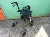 Topro Troja Faltbarer Aluminium Leichtlauf Rollator (Versand) Wandsbek - Hamburg Jenfeld Vorschau