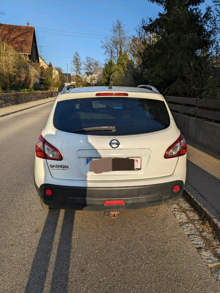 Nissan Qashqai mit Panoramadach in Dillingen (Donau)