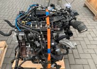 Ford 2,0 EcoBlue YLDA YLDC YMCB YNCA Motor Triebwerk Engine Nordrhein-Westfalen - Dorsten Vorschau