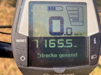 Trekking E-Bike 48 Steiger SINUS B1 für Damen und Herren Bayern - Röttenbach Vorschau