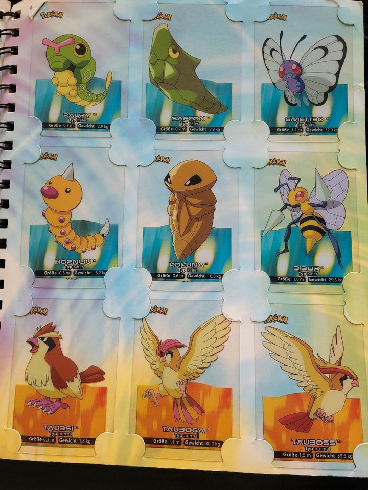 Pokemon Lamincards Collection 1 Generation in Potsdam