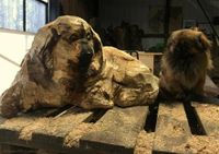 Dein Hund oder Katze als Portät  in Holz?Deko, Carving, Motorsäge Düsseldorf - Unterbach Vorschau