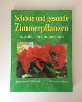 Schöne und gesunde Zimmerpflanzen Auswahl Pflege Standort Bayern - Königsbrunn Vorschau