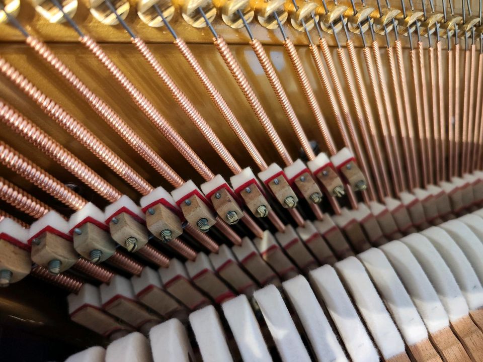 Erstklassiges Bechstein Klavier, top Zustand in Dresden