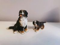 Schleich Berner Sennenhund 16316 und Welpe 16344 Bayern - Ebermannstadt Vorschau