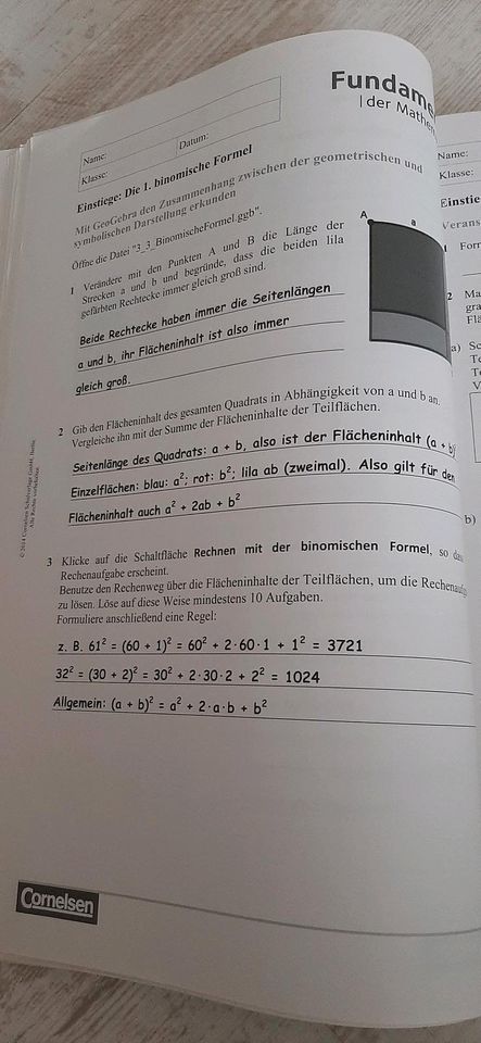 Fundamente der Mathematik 8 Serviceband in Erftstadt