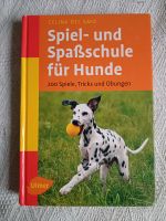 Celina Del Amo - Spiel- und Spaßschule für Hunde Köln - Höhenberg Vorschau