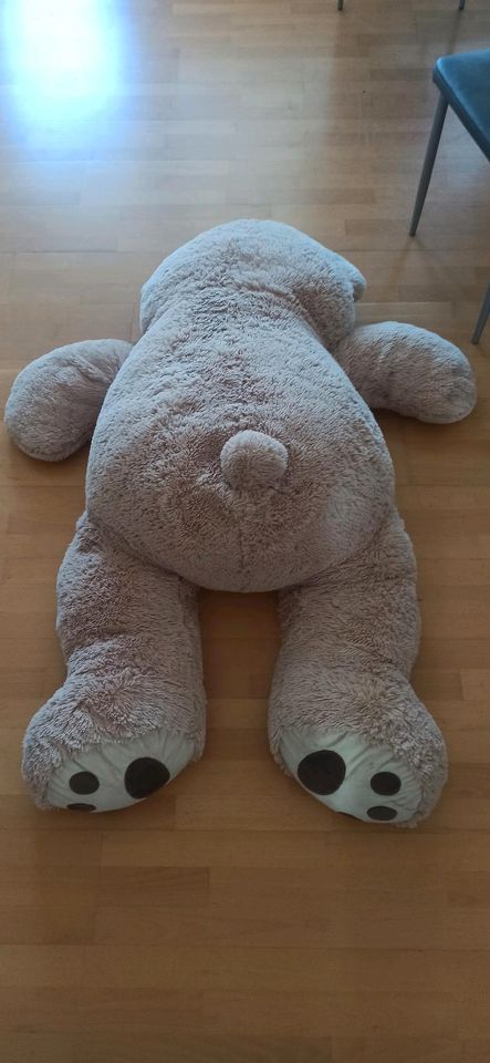 Riesen Teddy Kuscheltier in Leonberg