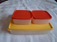 Tupperware Gefrierschrank behälter 3er set Neu Nordrhein-Westfalen - Hagen Vorschau