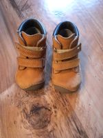 Elefanten Schuhe gr 20 Nordrhein-Westfalen - Marl Vorschau