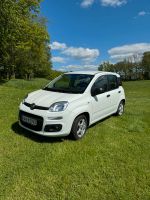 FIAT Panda Rheinland-Pfalz - Langenhahn Vorschau