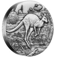 Australien - Kangaroo 2016 - 2 Oz Silbermünze  Antik Finish Bayern - Schweitenkirchen Vorschau