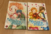 Spring flower 1 und 3 Manga Bayern - Uffing Vorschau