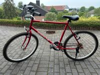 Trekkingbike Wheeler 800 Nordrhein-Westfalen - Blankenheim Vorschau