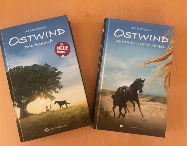 Sommer, Sonne, Stallgeflüster mit 2x Geschichten Verlag Loewe in Gillenfeld