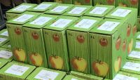 Apfel - und Quittendirektsaft aus aktueller Ernte Nordrhein-Westfalen - Hennef (Sieg) Vorschau