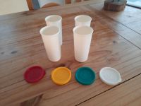 Tupperware 4 Becher Trinkbecher Schleswig-Holstein - Steinburg Vorschau