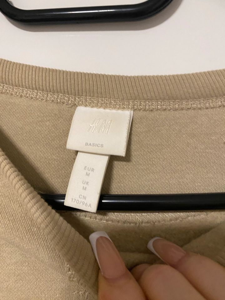 H&M Basics Pullover Beige M in Ebsdorfergrund