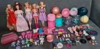 L.O.L Surprise, Barbie, Littlest Pet Shop Dortmund - Eving Vorschau