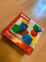 Magnetic Blocks Baden-Württemberg - Massenbachhausen Vorschau