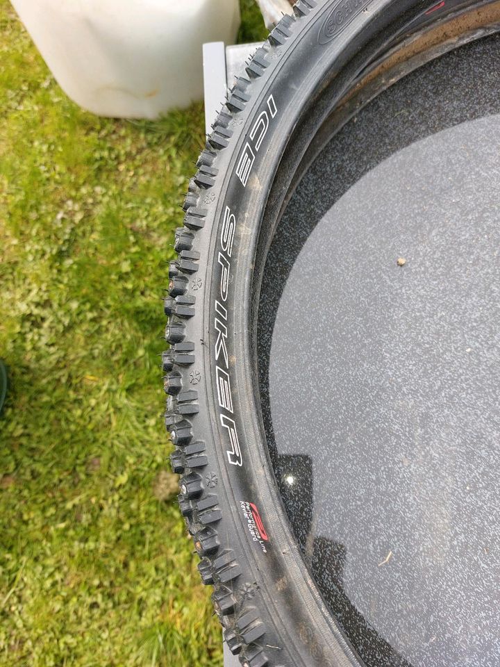 Schwalbe Spike Reifen mtb 26 zoll in Riedlingen