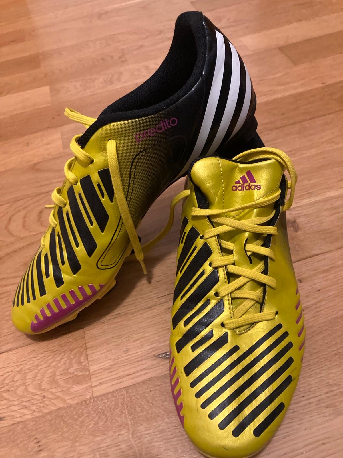 Adidas Predator Absolion LZ TRX FG sehr selten Gelb gr. 40 5 in Nordrhein Westfalen Ahaus kleinanzeigen
