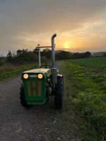 Oldtimer Schlepper Holder AM2 Bj. 1969 Niedersachsen - Negenborn Vorschau