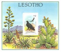 Lesotho Block 30 Raubvögel Greifvögel - Klippenadler Kaffernadler Nordrhein-Westfalen - Kamen Vorschau