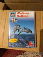 WAS IST WAS: Wale und Delfine DVD zweisprachig Bayern - Kaufering Vorschau