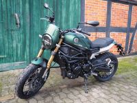 Benelli Leoncino 800 Trail *Neufahrzeug* Niedersachsen - Mellinghausen Vorschau