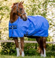 Horseware Regendecke Hero 0g Nylon Futter, außen robustes Ripstop Materail, Pferdedecke Top Qualität Neuware Farbe blau oder shadow 115,125,130,140,145,155,160 Nordrhein-Westfalen - Kempen Vorschau