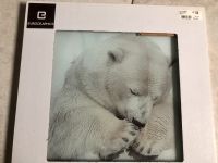 Glasbild  Motiv: „schlafender Eisbär“ - neu ! Saarland - Merzig Vorschau
