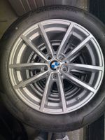 BMW Sommerreifen 225/50R17 **neu** Styling 778-V Speiche Eimsbüttel - Hamburg Lokstedt Vorschau