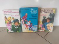 Enid Blyton Bücher Hessen - Wölfersheim Vorschau