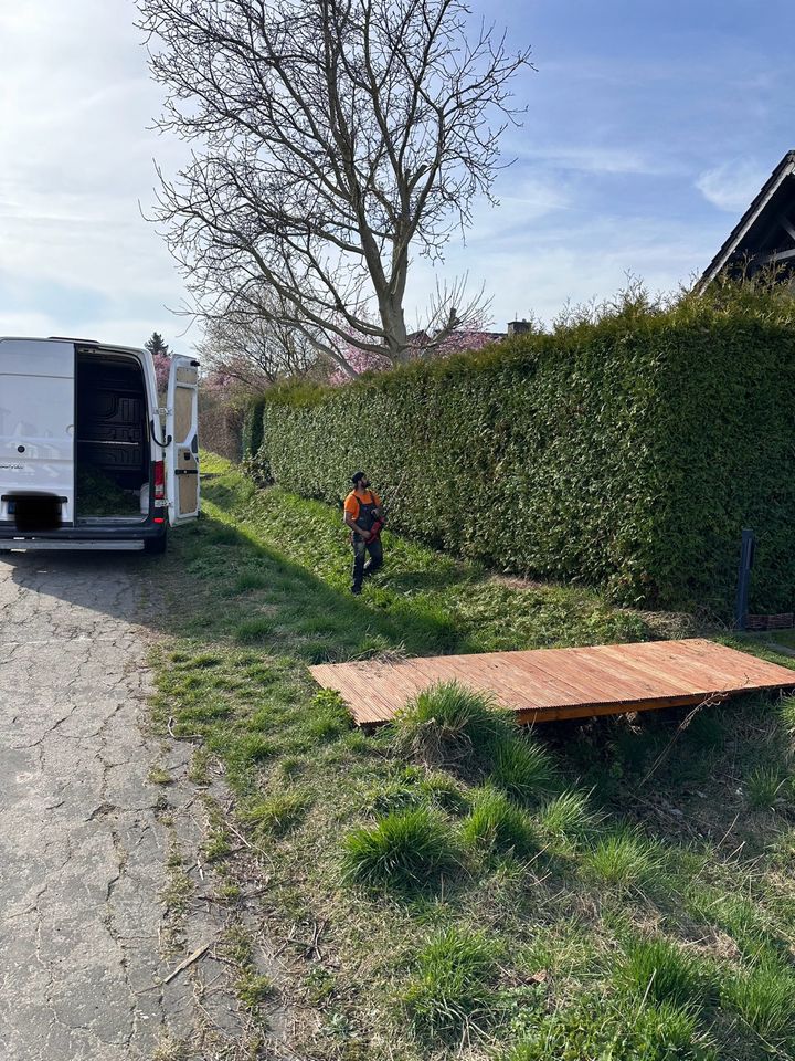 Gartenpflege /Baumschnitt /Gartenarbeit ✅ in Braunschweig