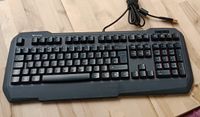 mechanische PC Tastatur Rapoo V700 mechanical gaming keyboard Pankow - Prenzlauer Berg Vorschau