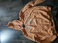Damen Pullover Sachsen-Anhalt - Hecklingen Vorschau