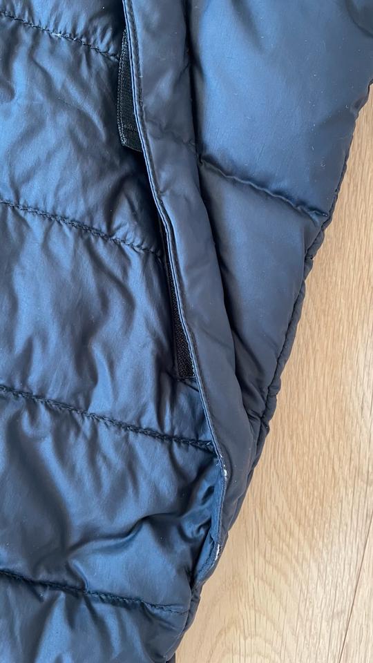 The North Face Daunen Steppjacke für Übergang, Gr. 146-152, 12J in Kerpen